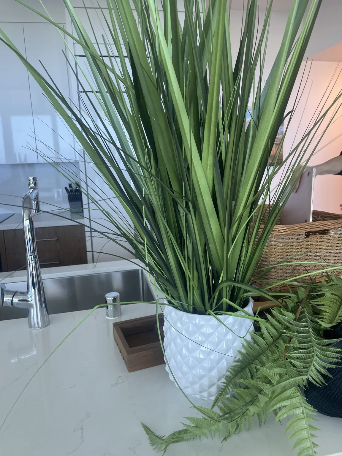 キッチンカウンターに飾った観葉植物