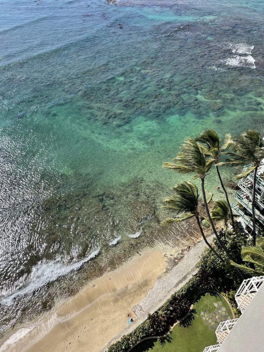 高層階から見下ろす透明な海と砂浜