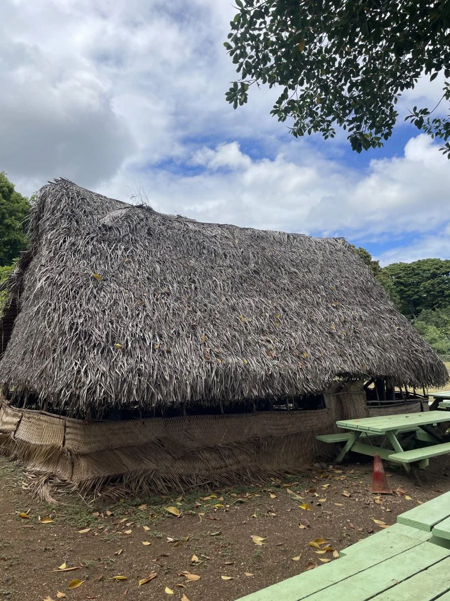 茅葺き屋根の小屋とピクニックテーブル